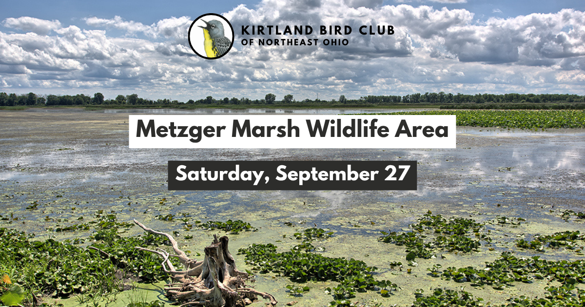 Campaign cover image for September 2025 Field Trip - Metzger Marsh