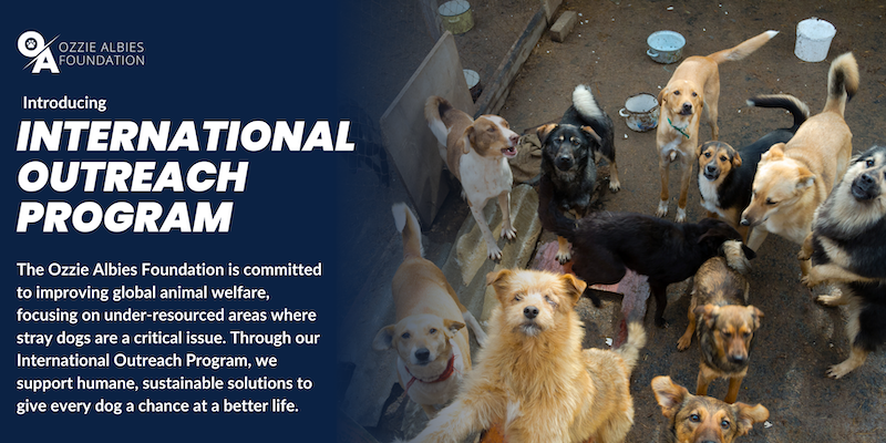 Campaign cover image for Support Save A Friend Dog Rescue