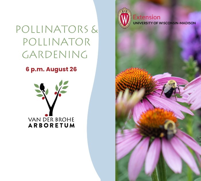 Campaign cover image for Pollinators & Pollinator Gardening