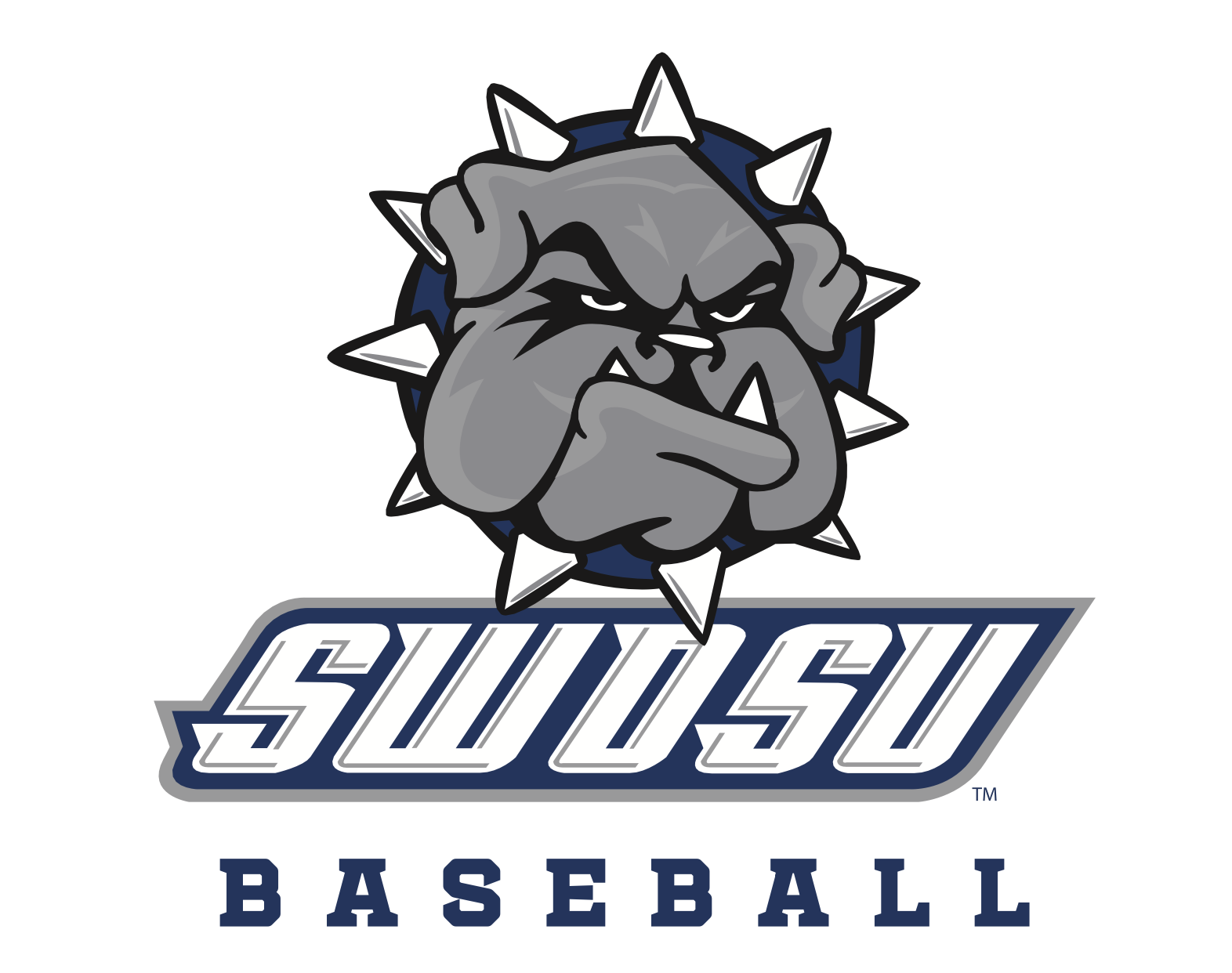Campaign cover image for 2024-25 SWOSU Baseball Team Fundraiser