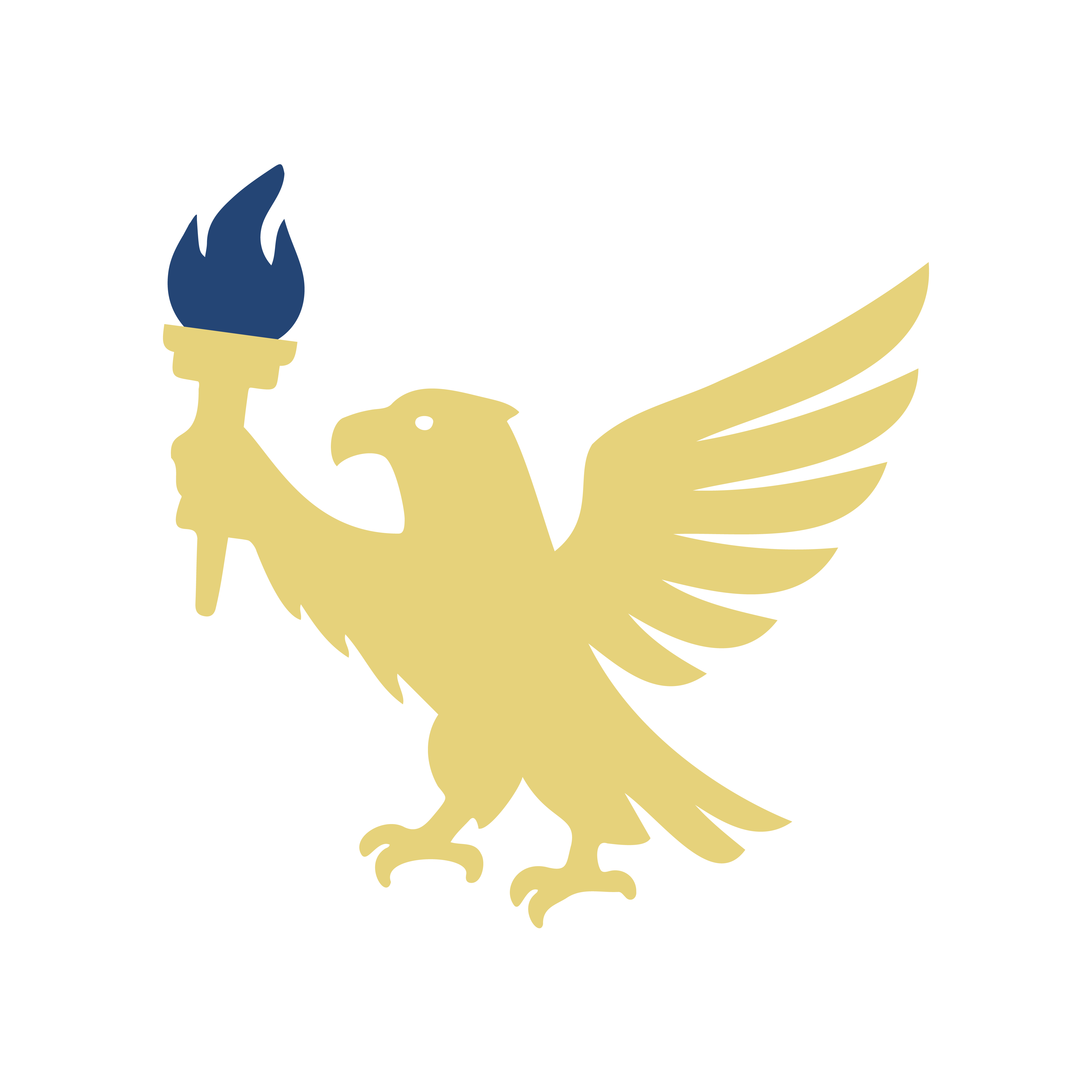 Campaign cover image for Donate to the Kalla Foundation