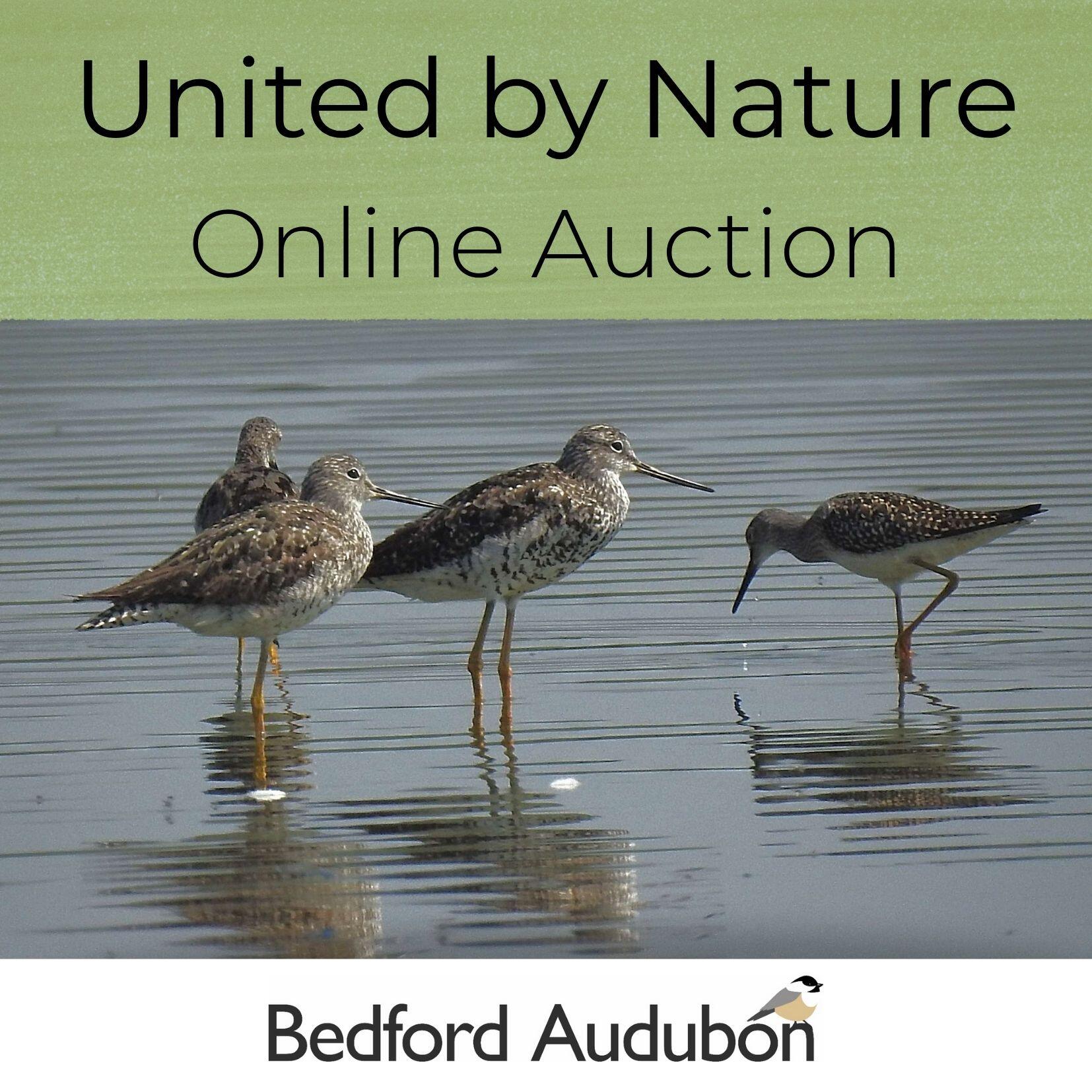 Campaign cover image for Bedford Audubon's United by Nature Online Auction