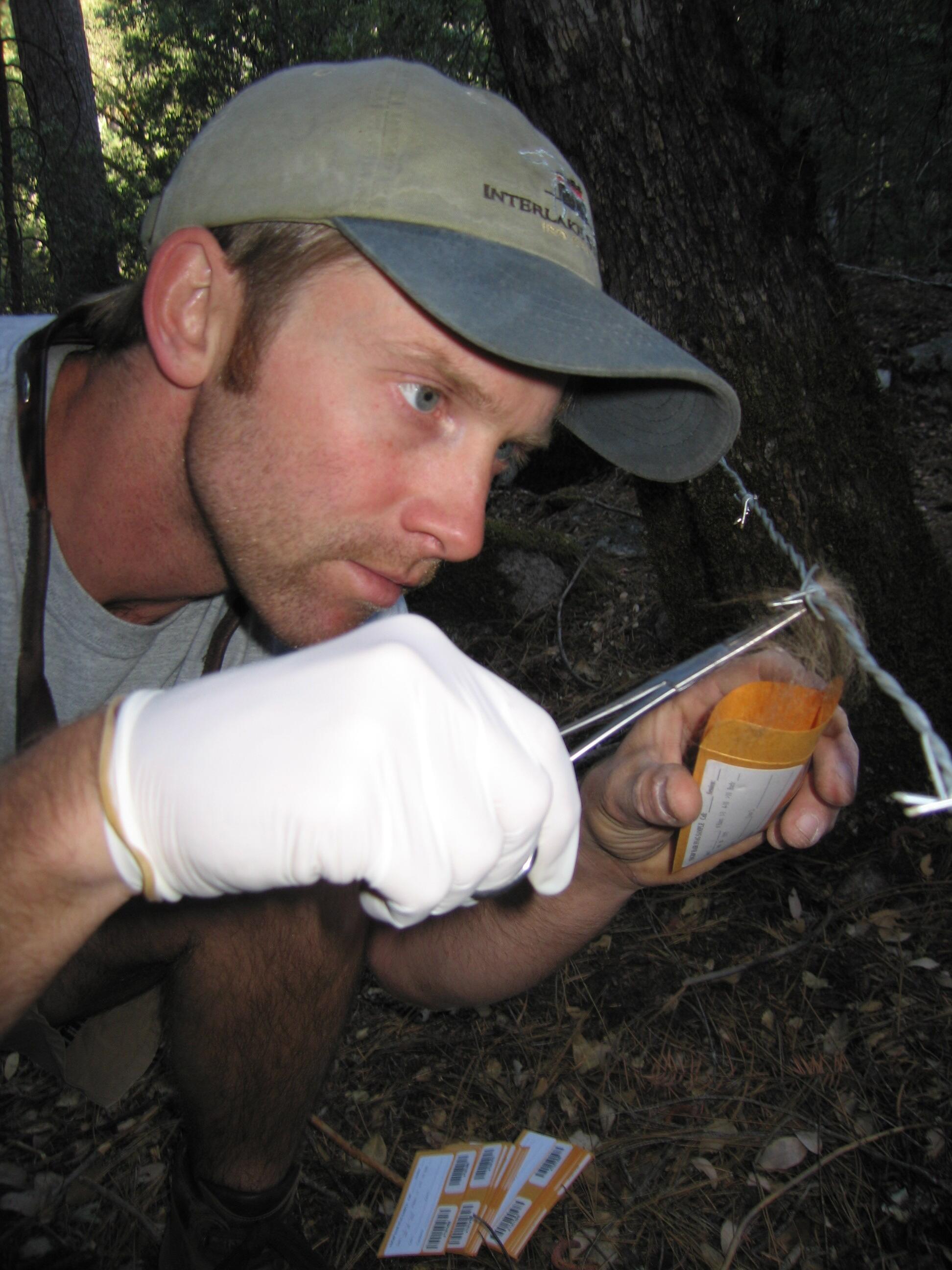 Campaign cover image for Wildlife Wednesday -- Laser ablation stable isotope analysis to understand bear foraging ecology