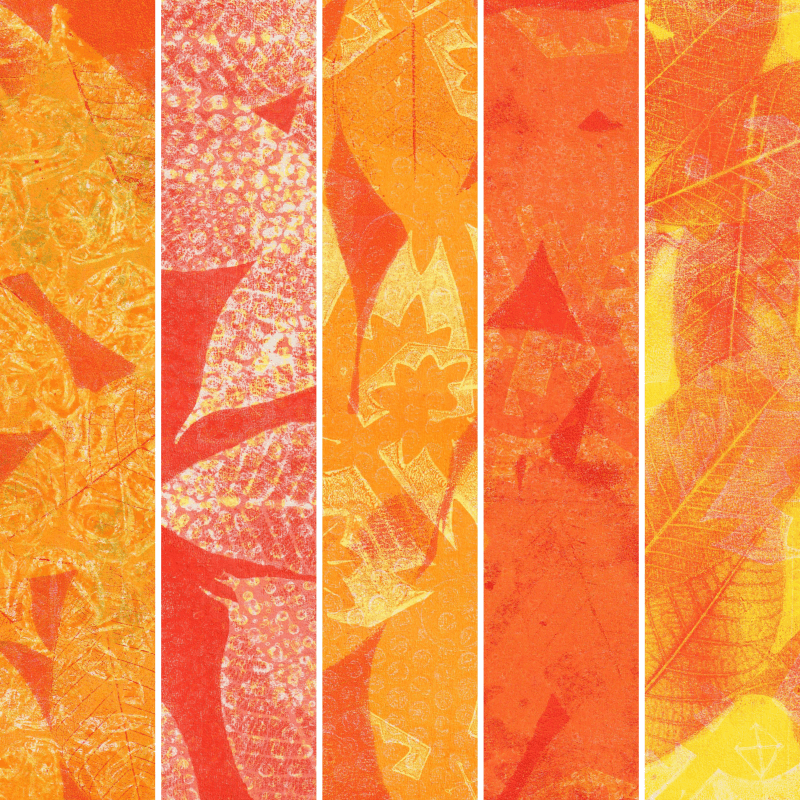 Campaign cover image for 9.17.25 Creation Class