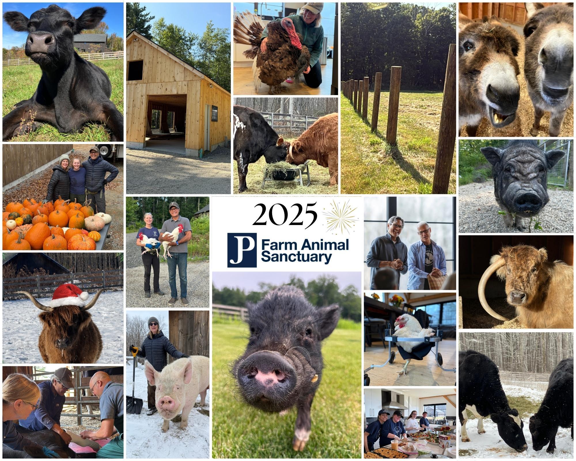 Campaign cover image for JP's Year End 2025 Fundraiser ❤️