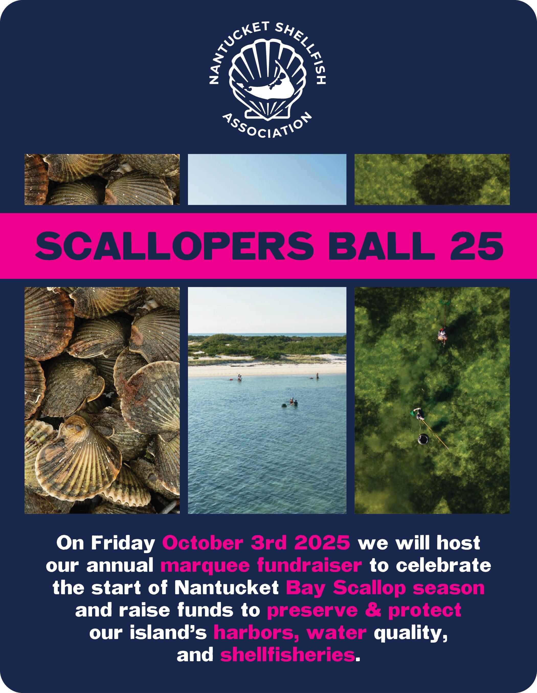 Campaign cover image for NSA Scallopers Ball 2025 + Auction