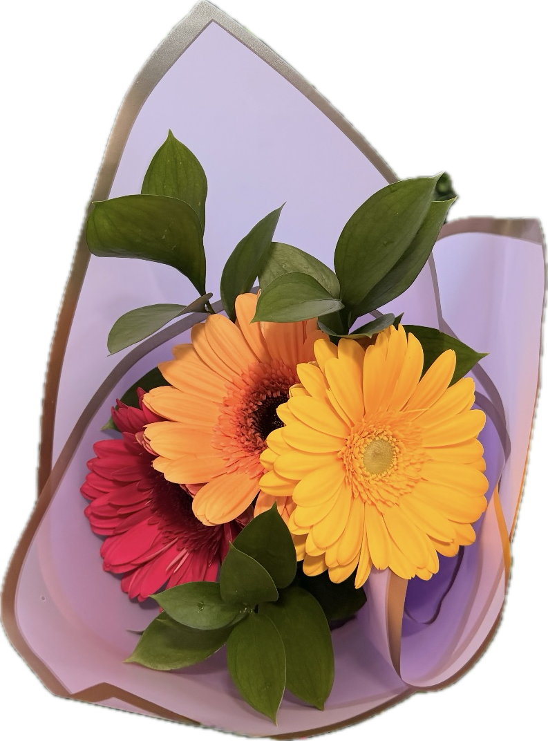 Campaign cover image for Flowers