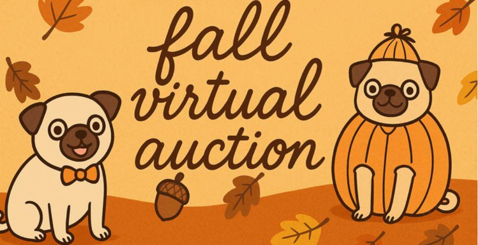 Campaign cover image for EPR Fall Fundraising Auction