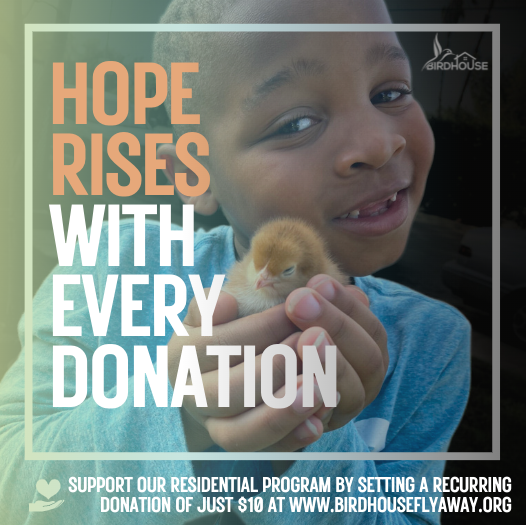 Campaign cover image for Shelter Facility For Homeless Youth