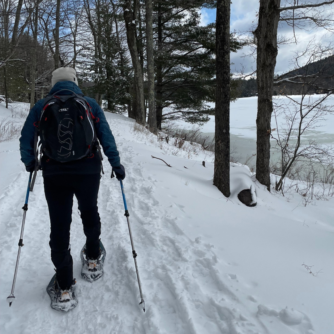 Campaign cover image for Hike & Learn Series: Learn to Snowshoe at Kelly Hollow