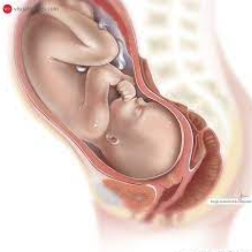 Campaign cover image for Towards Health Equity: Answering Silent Cries for Help