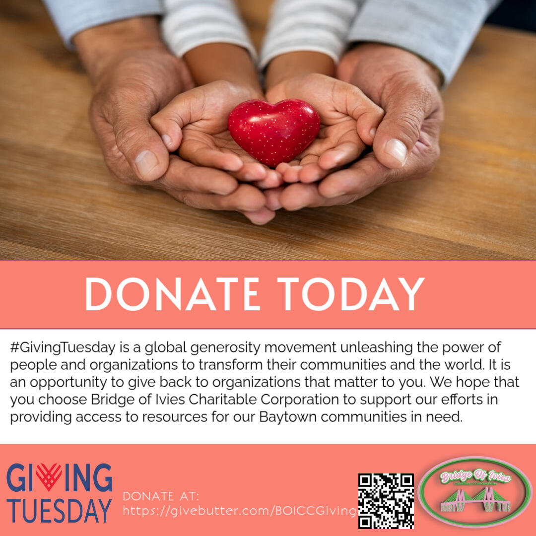 Campaign cover image for Support Bridge of Ivies Charitable Corporation this Giving Tuesday!