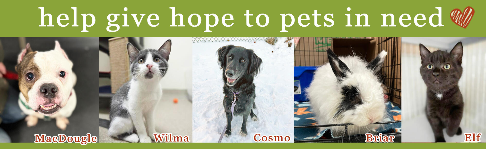 Campaign cover image for Double Your 2025 Year-End Donation!