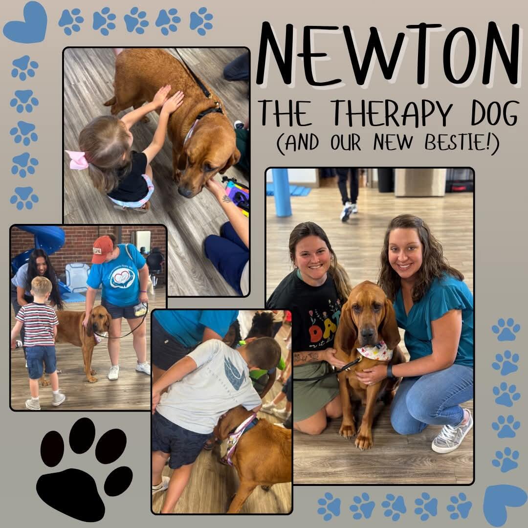 Campaign cover image for Support Team K9 Newton