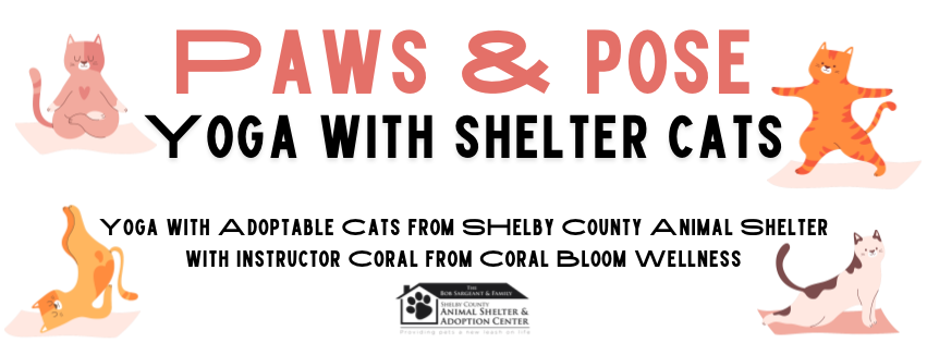 Campaign cover image for Paws & Pose- Yoga with Shelter Cats