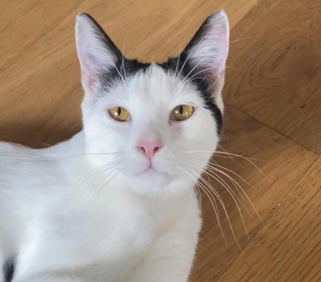 Campaign cover image for Ansel Sponsorship