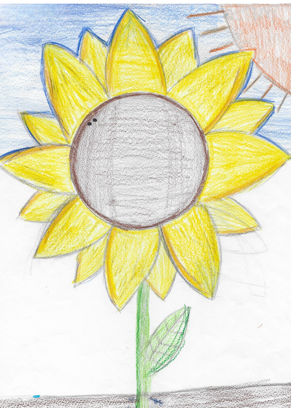 Campaign cover image for **SOLD OUT** Third Annual Sunflower Festival