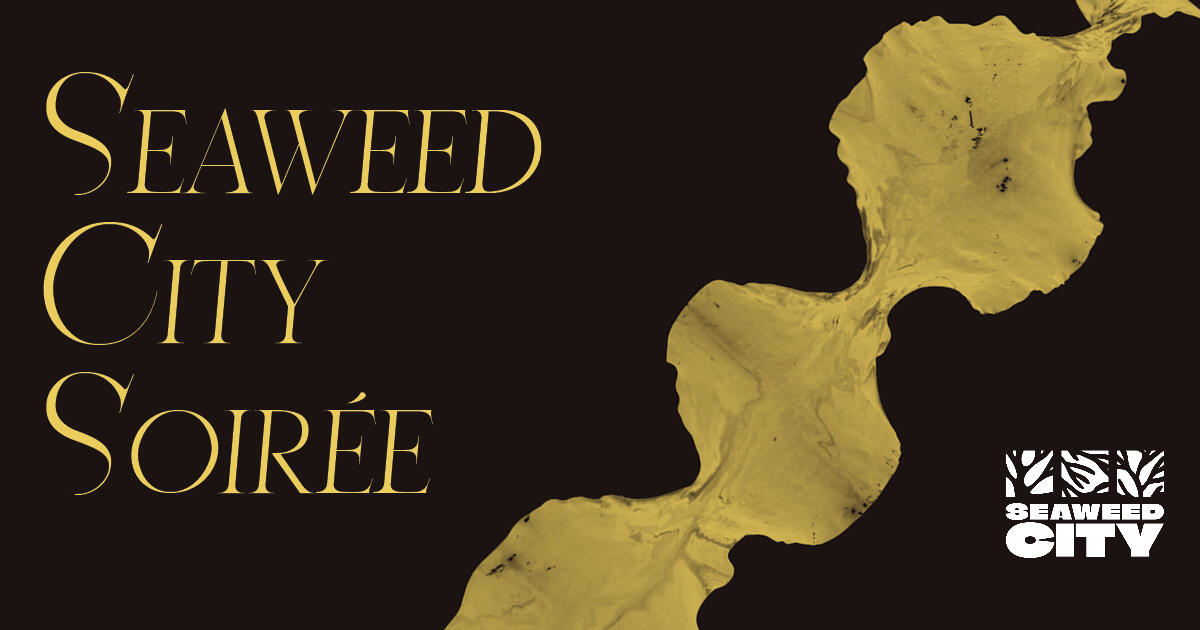 Campaign cover image for Seaweed City Soirée