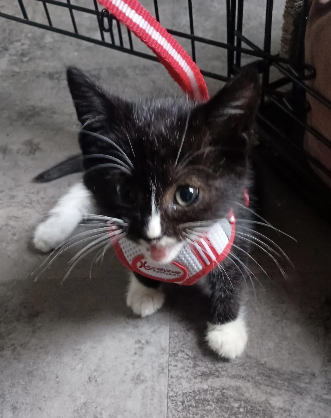 Campaign cover image for Bump's Emergency Medical Care