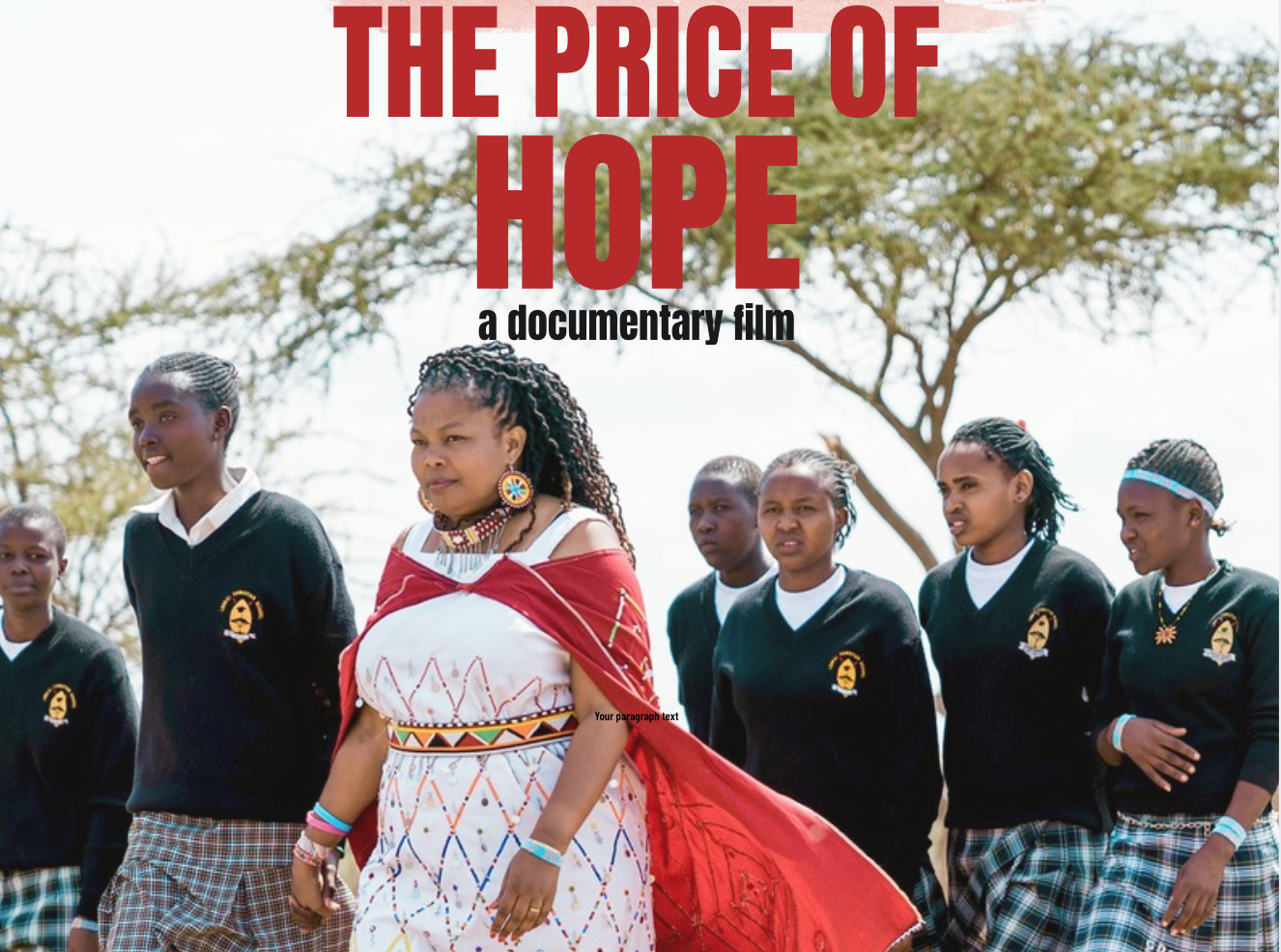 Campaign cover image for The Price of Hope
