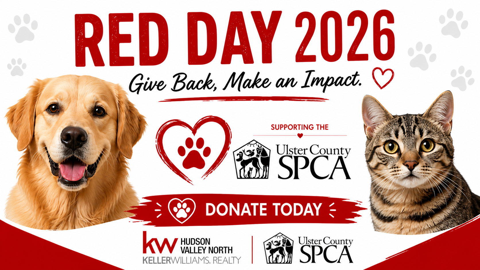 Campaign cover image for RED Day 2026: Supporting the Ulster County SPCA