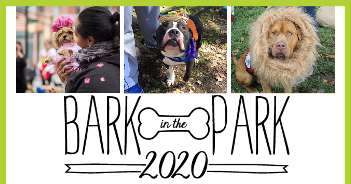 Campaign cover image for Bark In The Park 2020