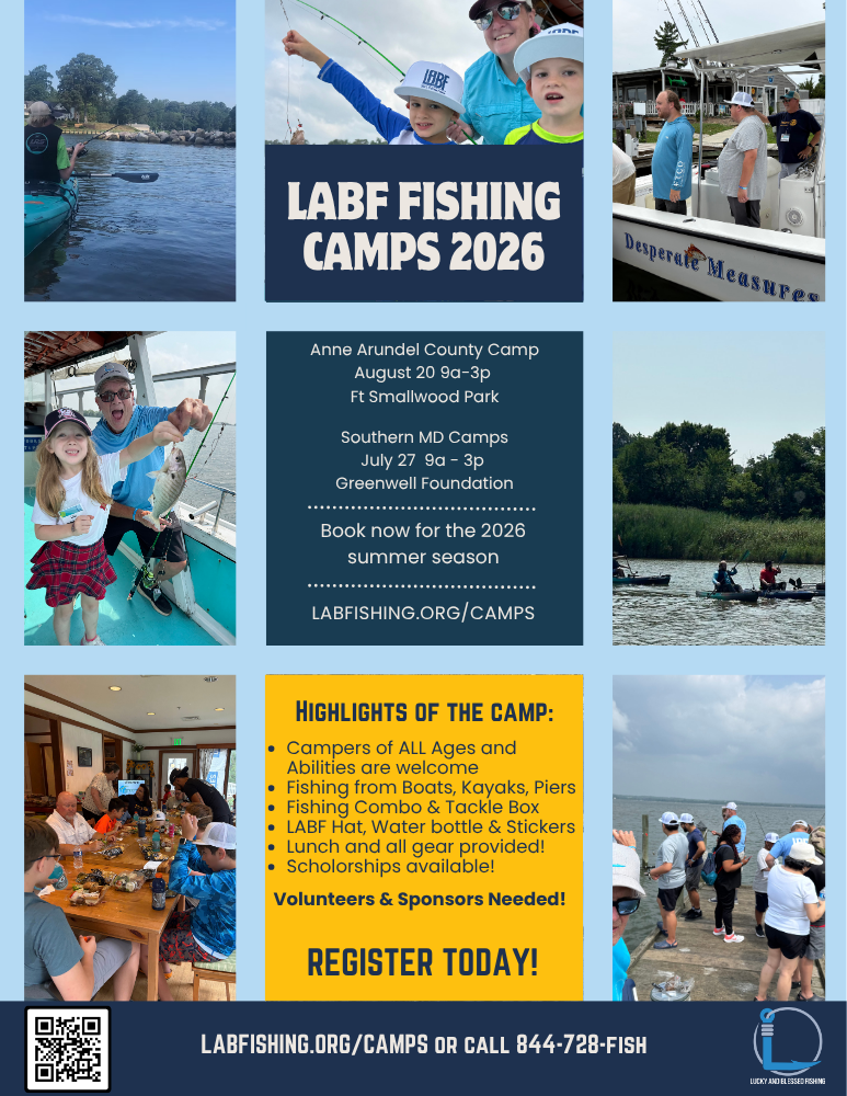 Campaign cover image for 2026 LABF Summer Camps for ALL Abilities