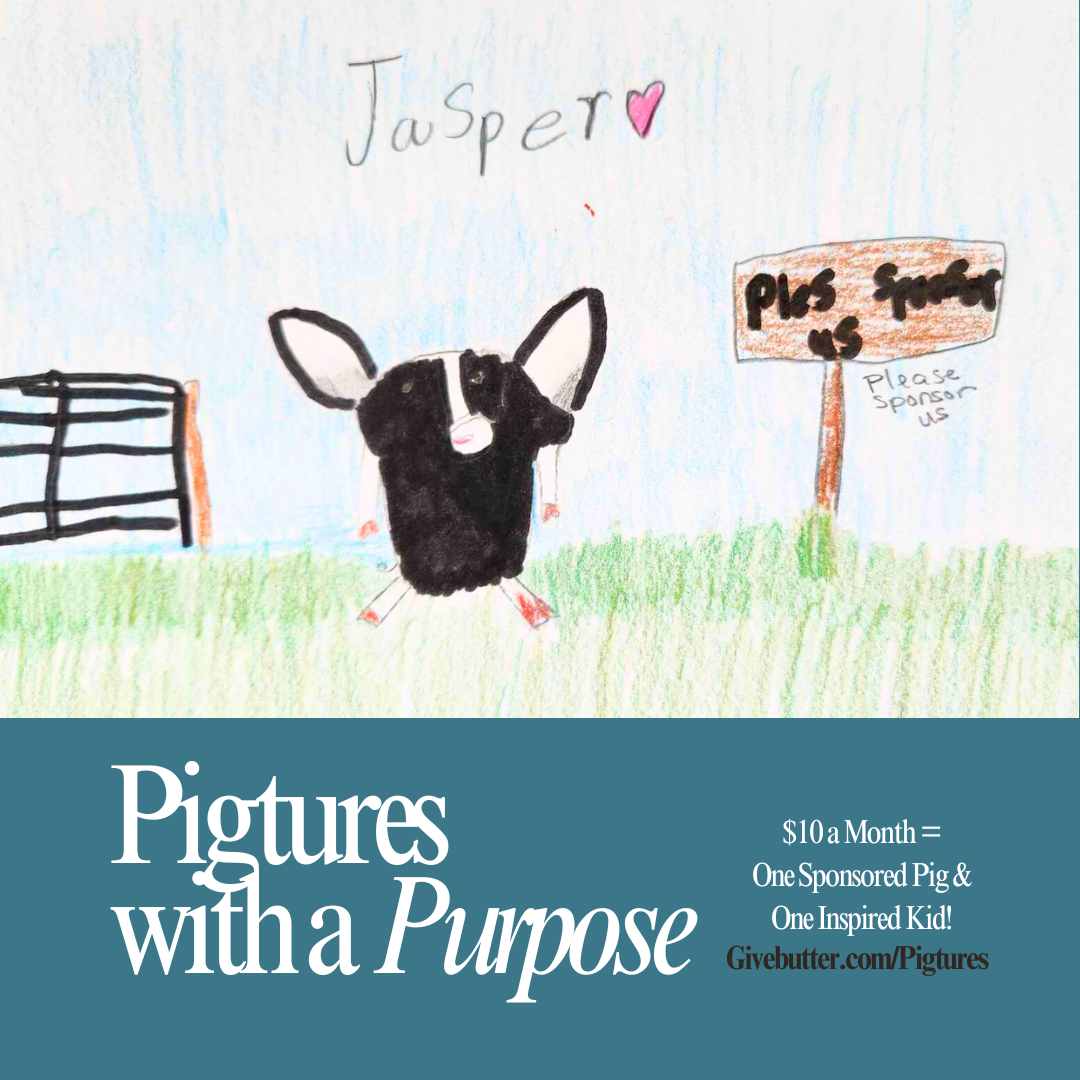 Campaign cover image for Pigtures with a Purpose