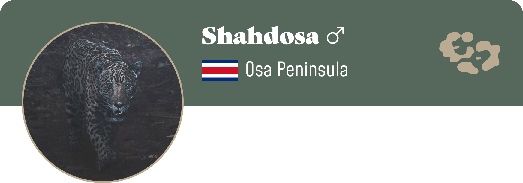 Campaign cover image for Adopt Shahdosa