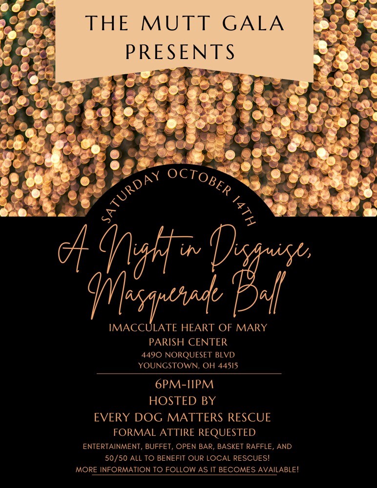 Campaign cover image for Mutt Gala A Night in Disguise