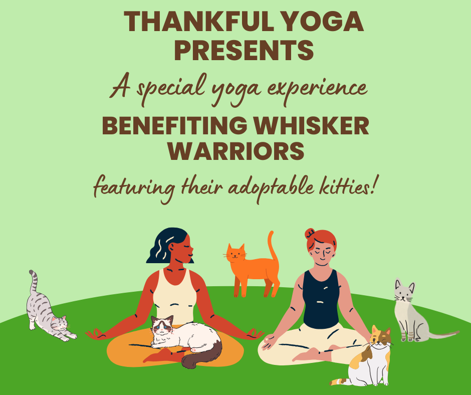 Campaign cover image for Purrfect Poses