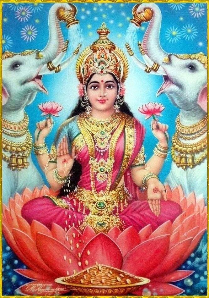 Campaign cover image for Awakening Lakshmi / Wisdom of the Divine Feminine