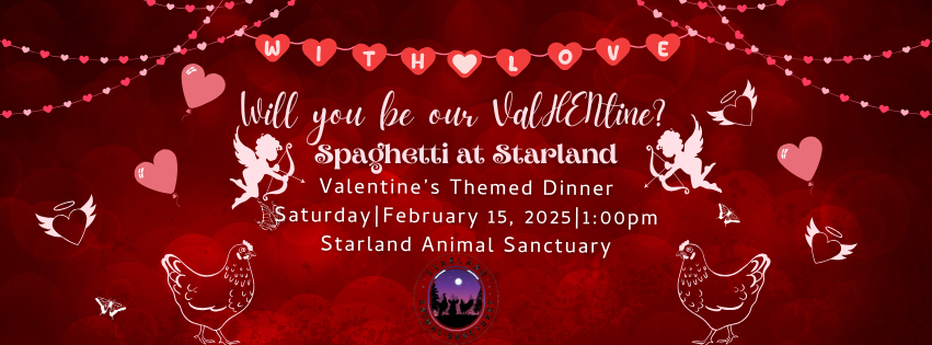 Campaign cover image for Valentine's Spaghetti Dinner at Starland 2025