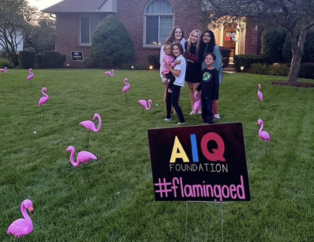 Campaign cover image for AIQ Flamingo Drive 2025