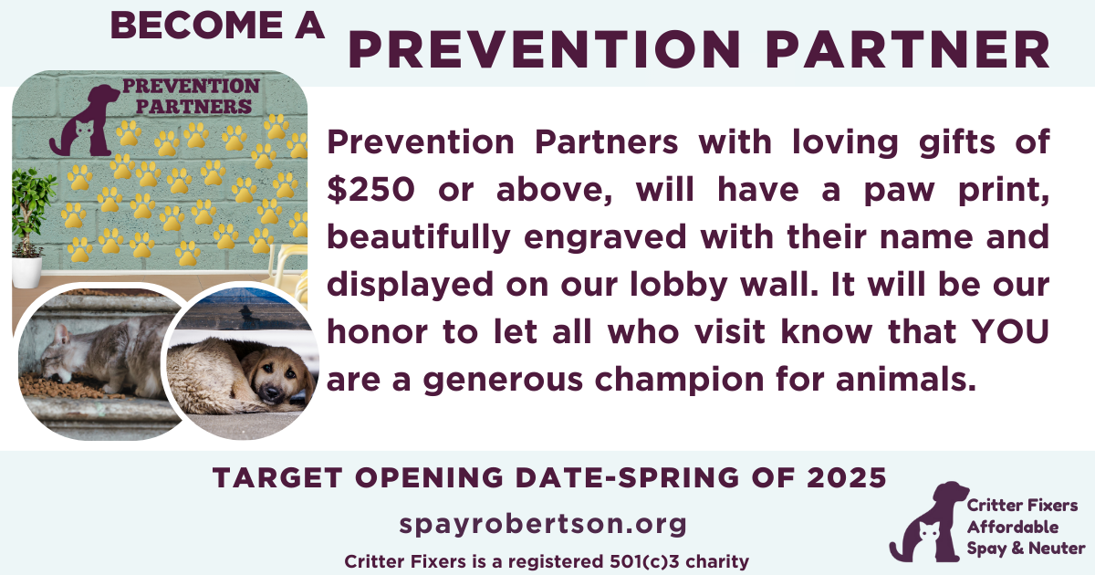 Campaign cover image for Prevention Partners
