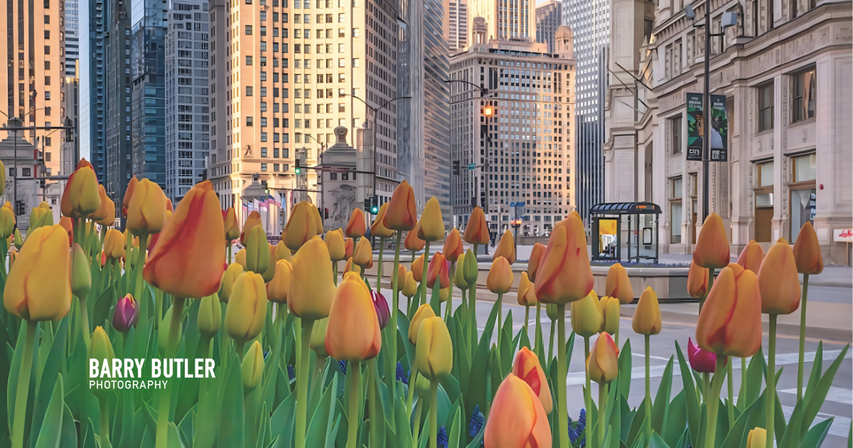 Campaign cover image for Seeds of Hope — Where Renewal Takes Root