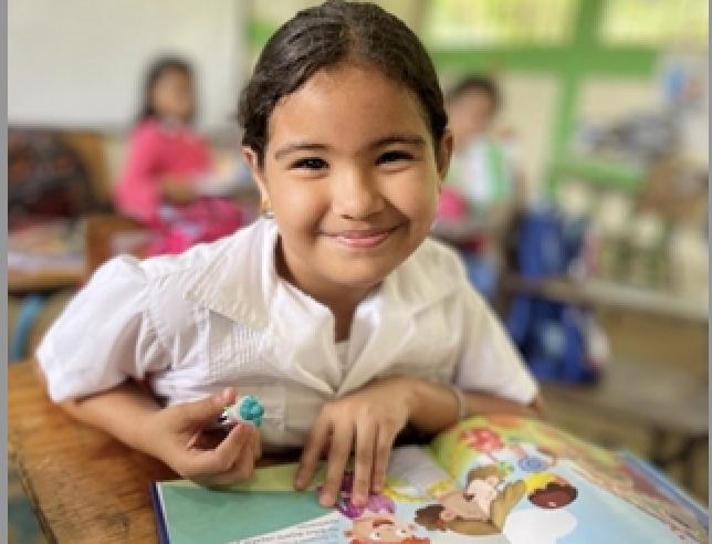 Campaign cover image for School the World