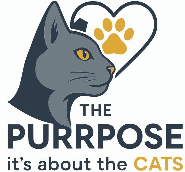 Campaign cover for Reoccurring Donations