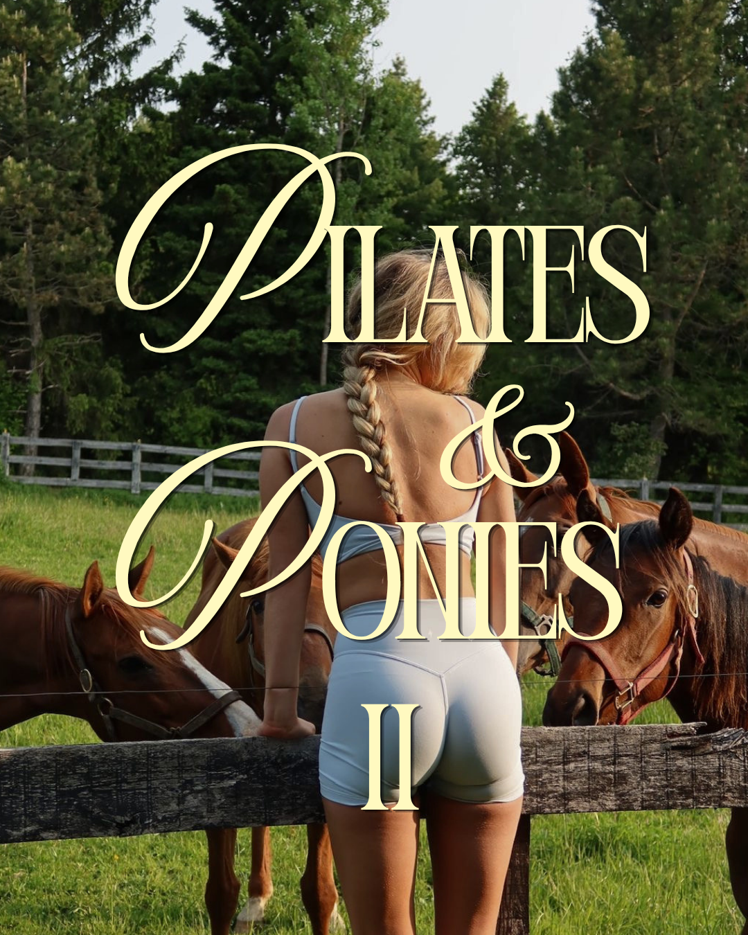 Campaign cover image for Pilates & Ponies II