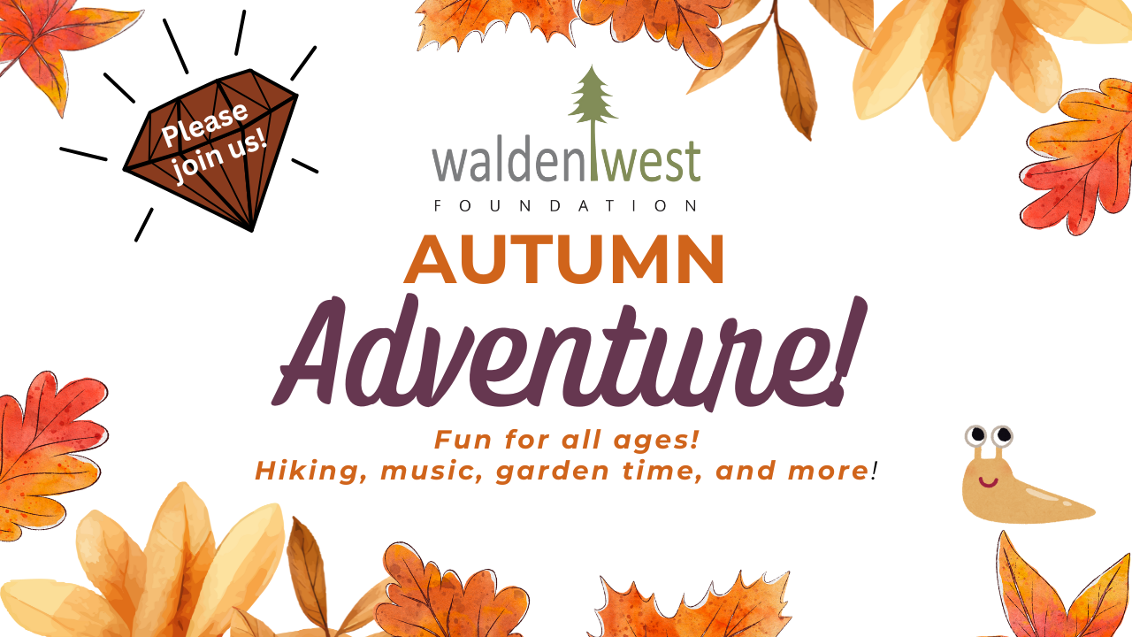 Campaign cover image for Autumn Adventure: October 25, 2025