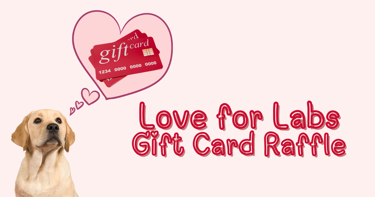 Campaign cover image for Love for Labs Gift Card Raffle