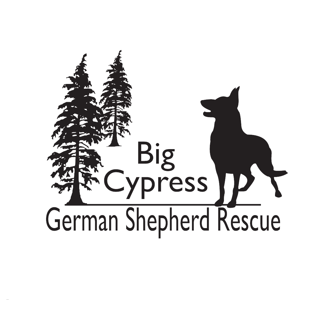 Campaign cover for BCGSR Adoption Donation