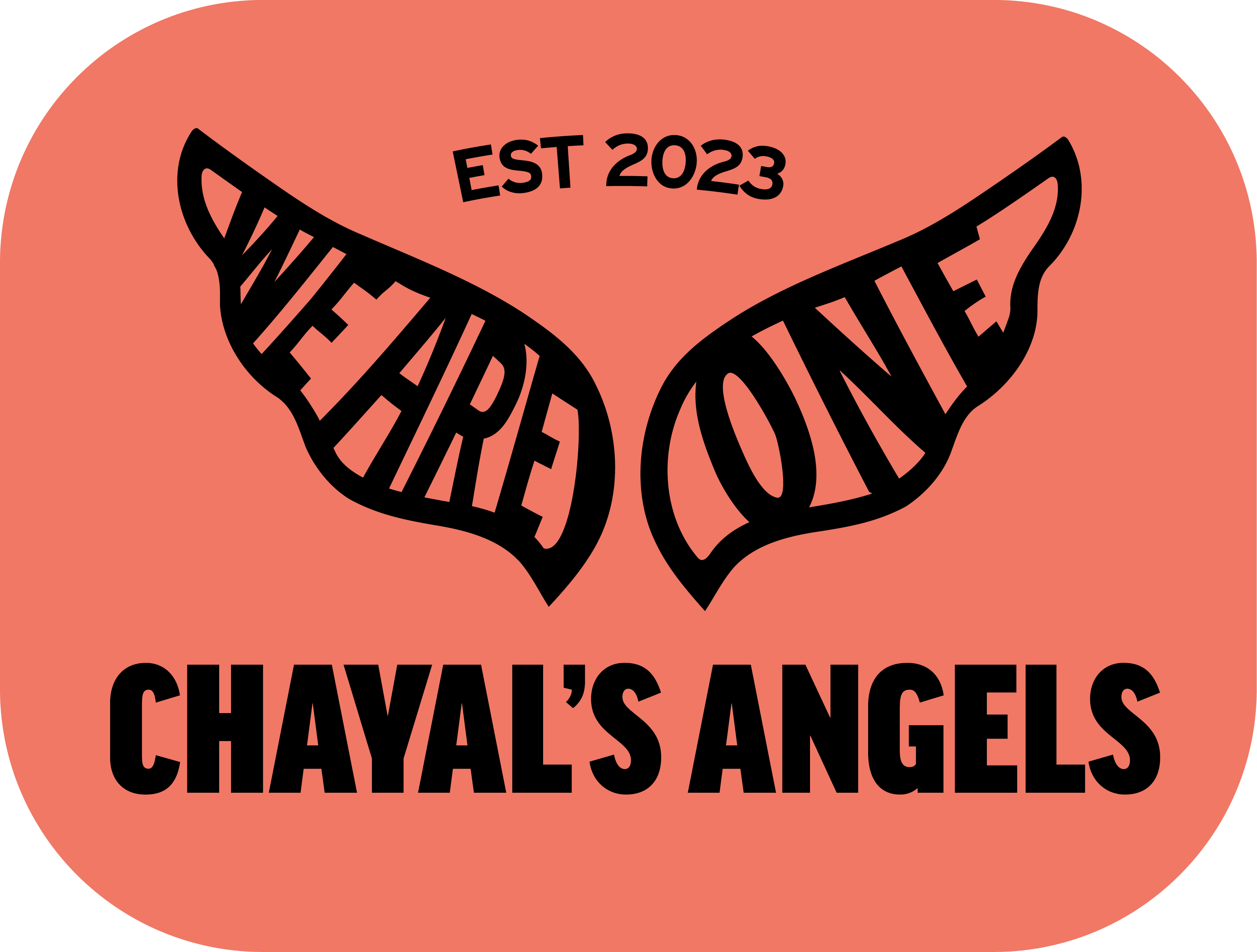 Campaign cover image for 😇 Chayal's Angels