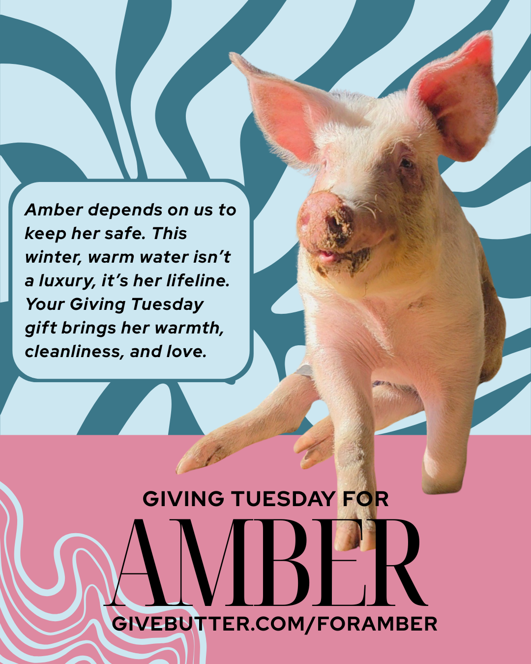 Campaign cover image for Winter Care for Amber