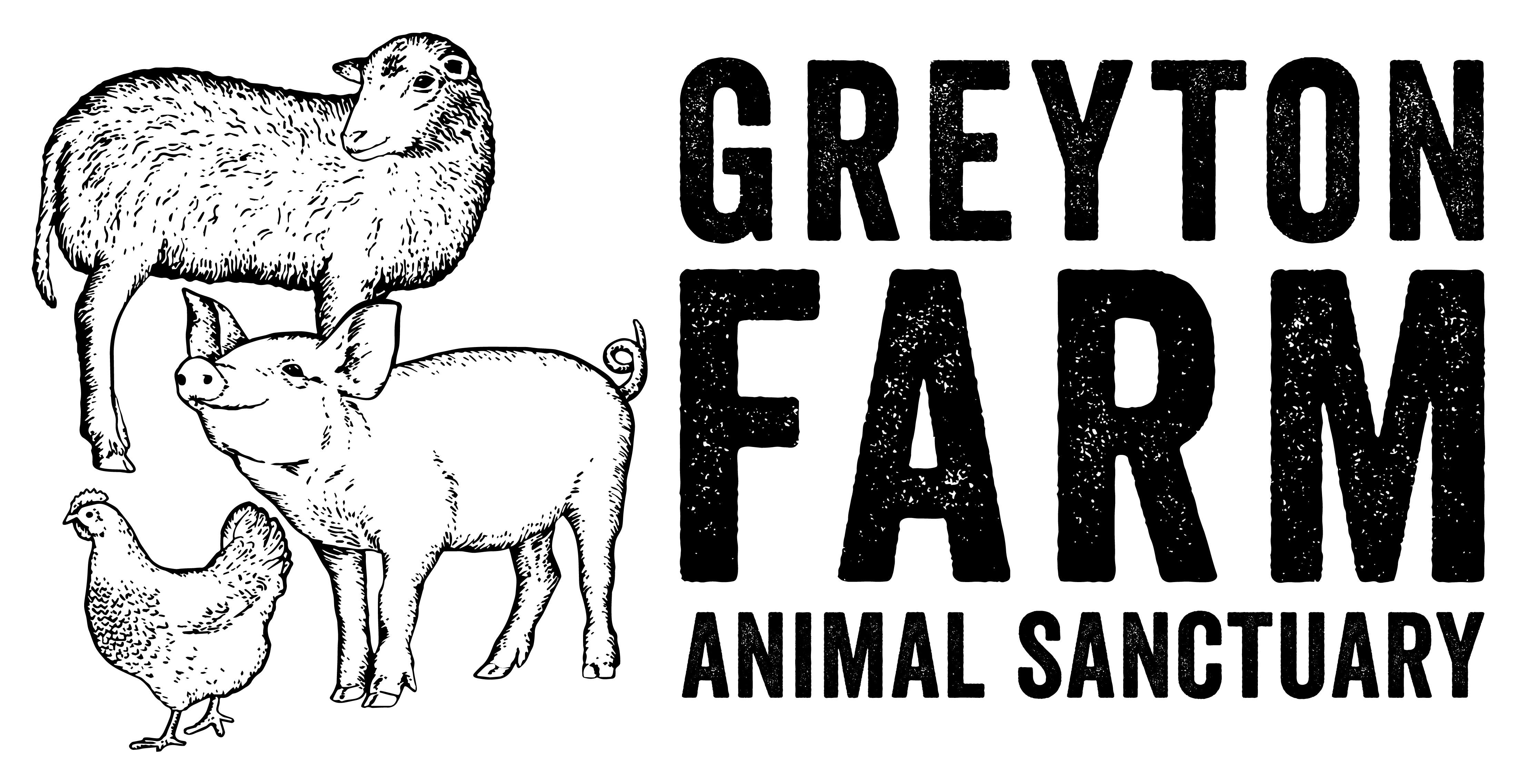 Campaign cover for Donate to Greyton Farm Animal Sanctuary