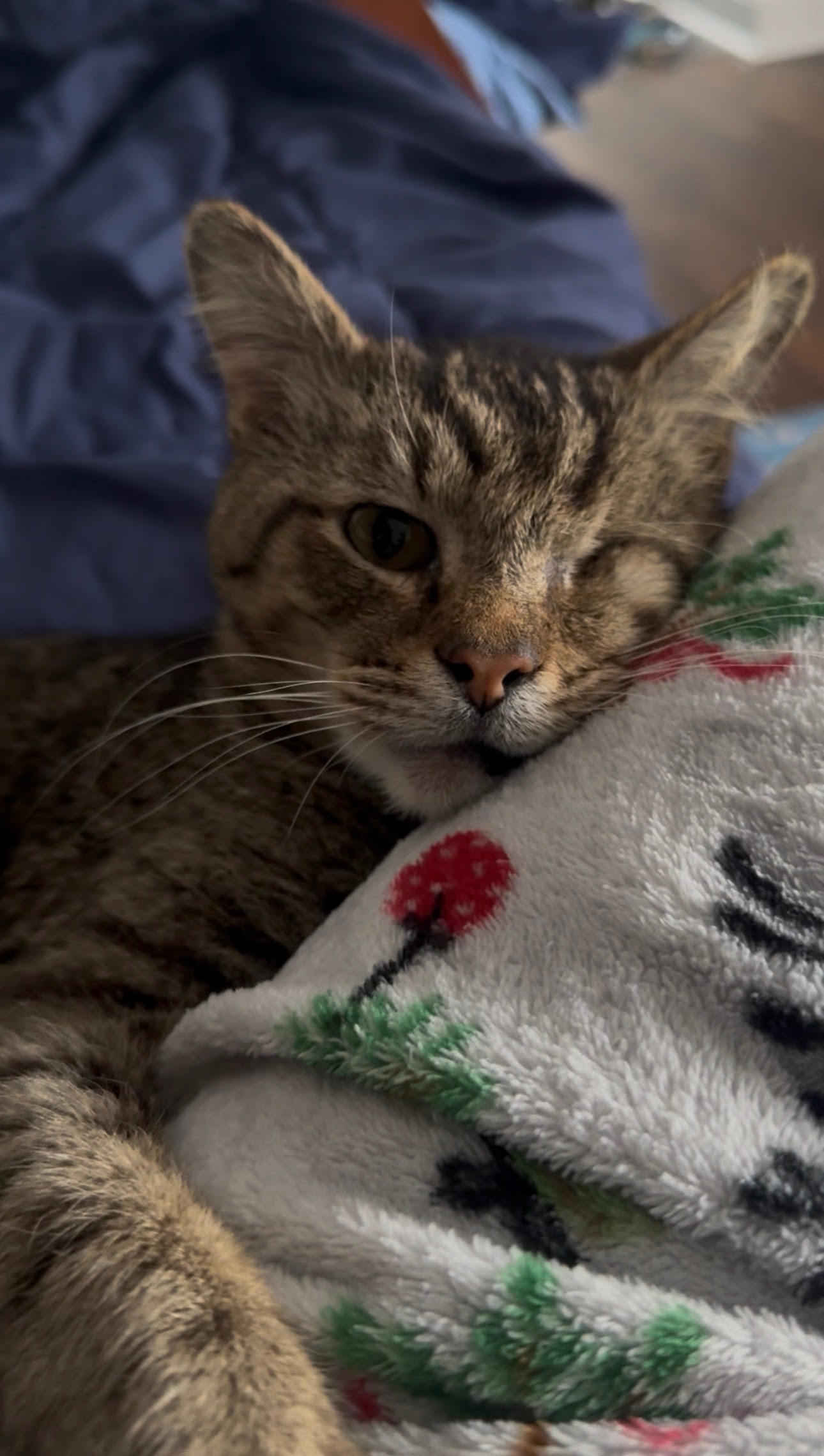 Campaign cover image for Help Owen Get the Treatment He Needs!