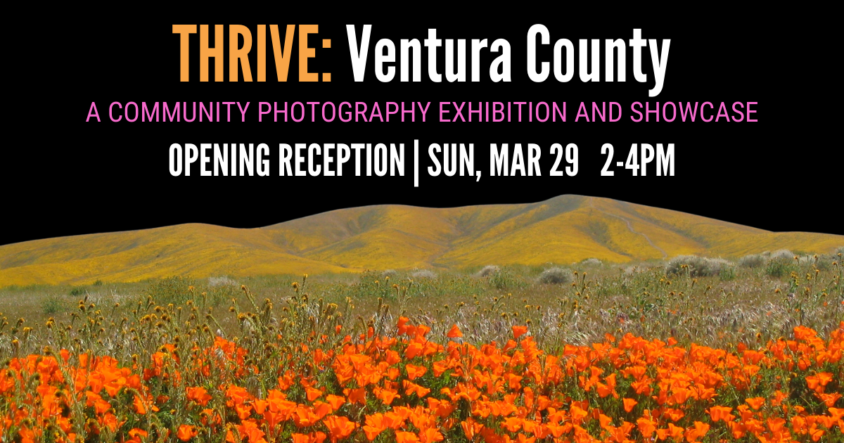 Campaign cover image for THRIVE: Ventura County Exhibit Opening Reception
