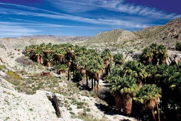 Campaign cover image for 02-27-2026 - Pushawalla Palms Oasis Hike