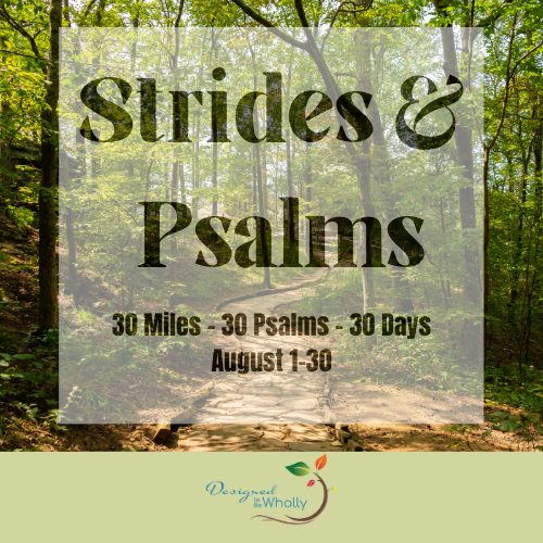 Campaign cover image for Strides and Psalms