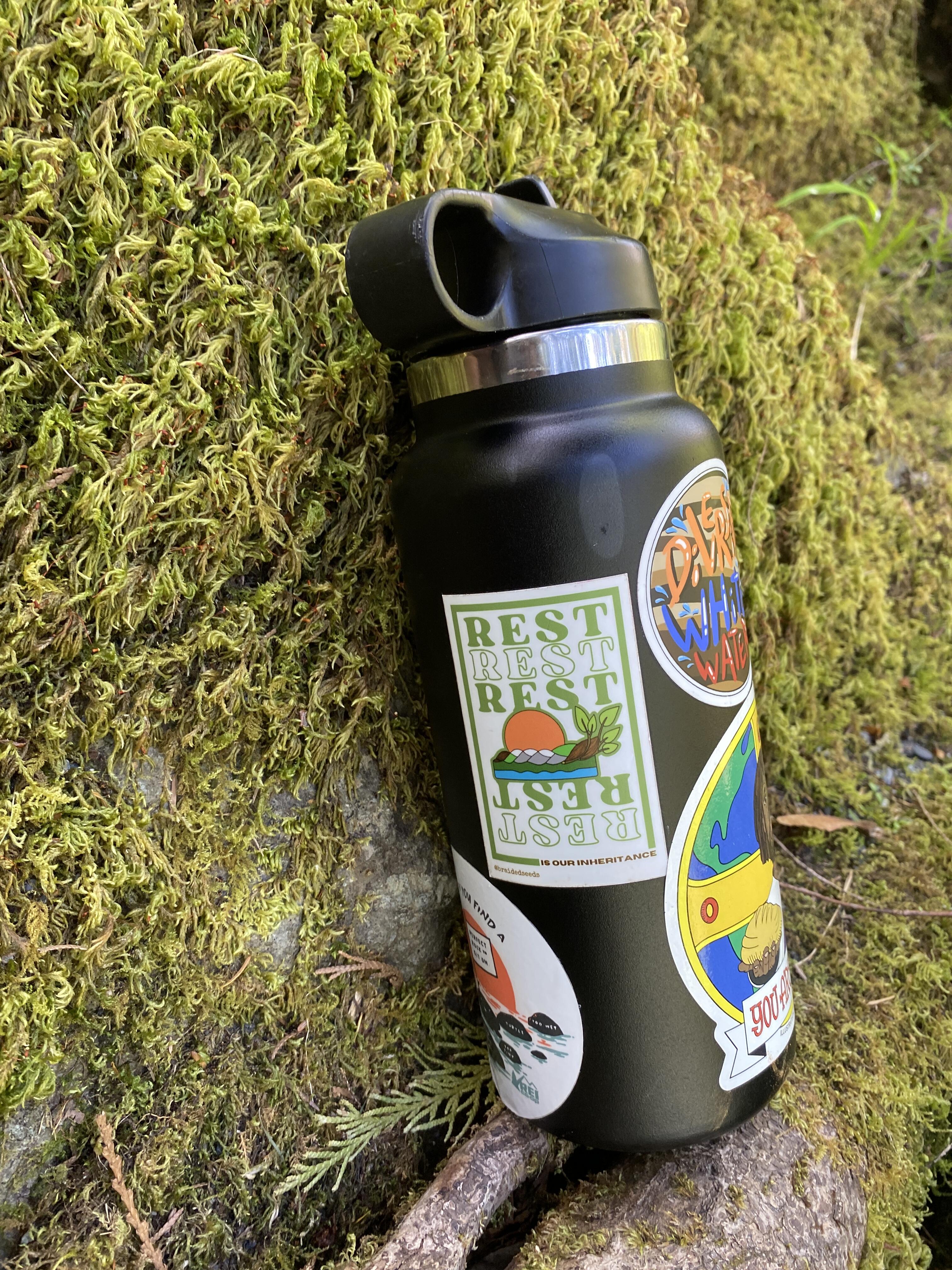 Campaign cover image for From Seed to Harvest: A Celebration of Braided Seeds' Growth